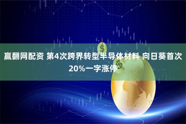 赢翻网配资 第4次跨界转型半导体材料 向日葵首次20%一字涨停
