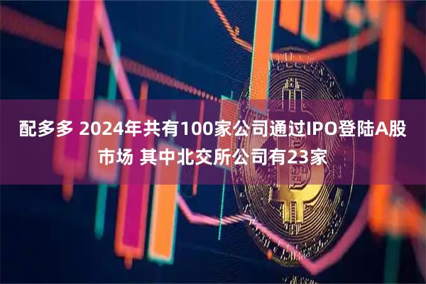 配多多 2024年共有100家公司通过IPO登陆A股市场 其中北交所公司有23家