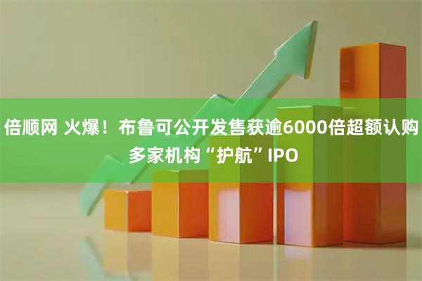 倍顺网 火爆！布鲁可公开发售获逾6000倍超额认购 多家机构“护航”IPO