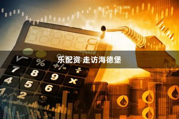 乐配资 走访海德堡