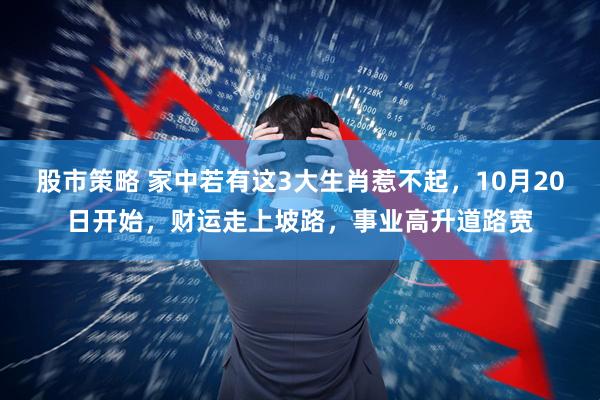 股市策略 家中若有这3大生肖惹不起，10月20日开始，财运走上坡路，事业高升道路宽