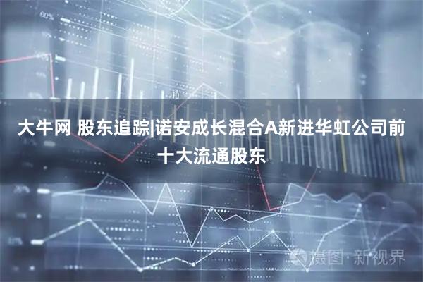 大牛网 股东追踪|诺安成长混合A新进华虹公司前十大流通股东
