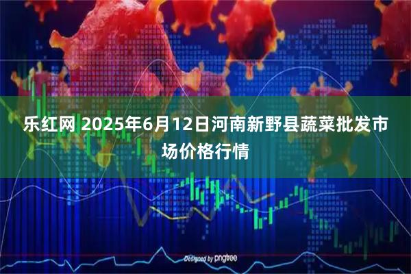 乐红网 2025年6月12日河南新野县蔬菜批发市场价格行情