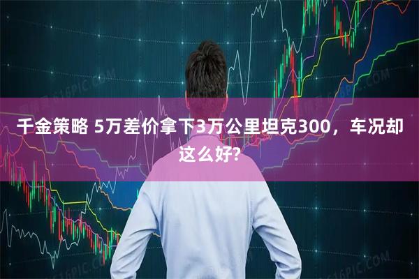 千金策略 5万差价拿下3万公里坦克300，车况却这么好?