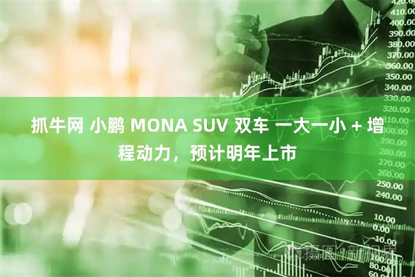 抓牛网 小鹏 MONA SUV 双车 一大一小 + 增程动力，预计明年上市