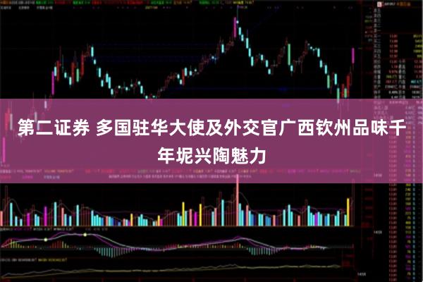 第二证券 多国驻华大使及外交官广西钦州品味千年坭兴陶魅力